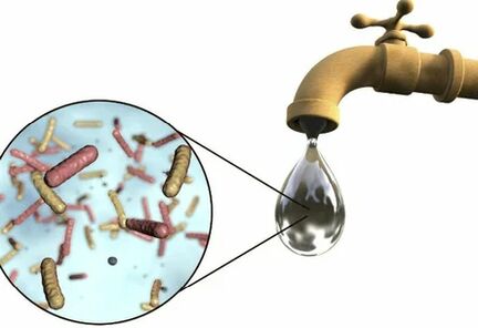 Parasites dans une goutte d'eau de la grue